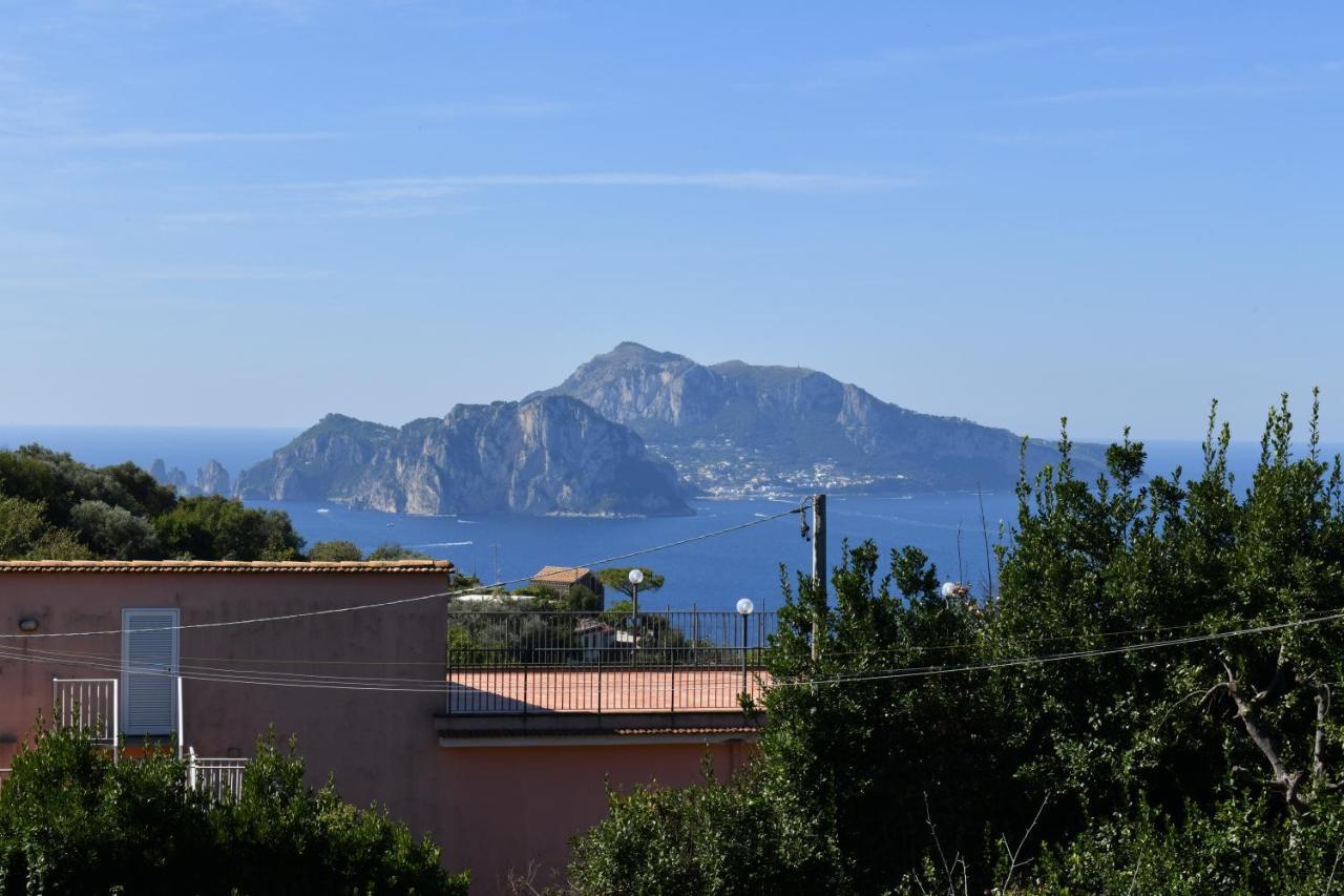 Il Profumo Di Capri Villa Маса Лубрензе Екстериор снимка